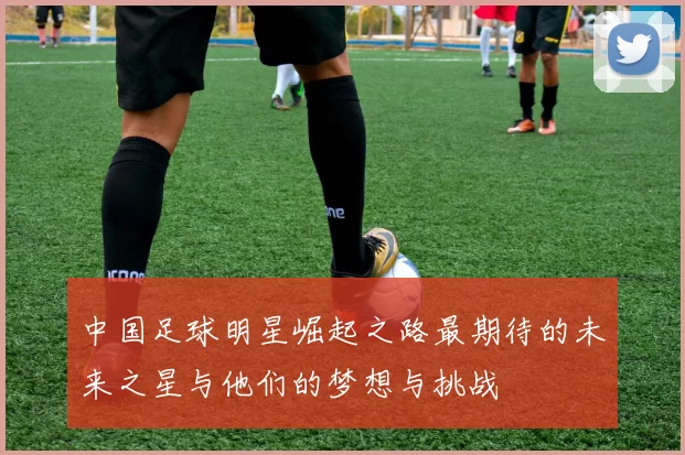 中国足球明星崛起之路最期待的未来之星与他们的梦想与挑战
