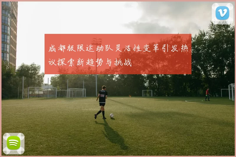 成都极限运动队灵活性变革引发热议探索新趋势与挑战