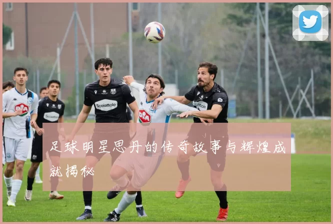 足球明星思丹的传奇故事与辉煌成就揭秘
