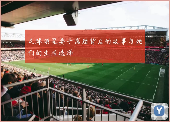 足球明星妻子离婚背后的故事与她们的生活选择