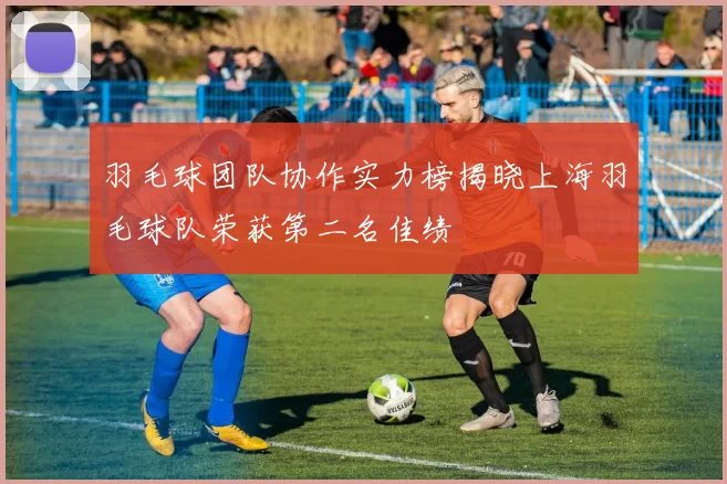 羽毛球团队协作实力榜揭晓上海羽毛球队荣获第二名佳绩
