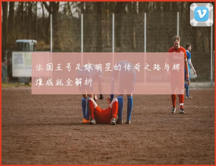 法国五号足球明星的传奇之路与辉煌成就全解析