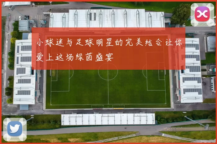 小球迷与足球明星的完美结合让你爱上这场绿茵盛宴