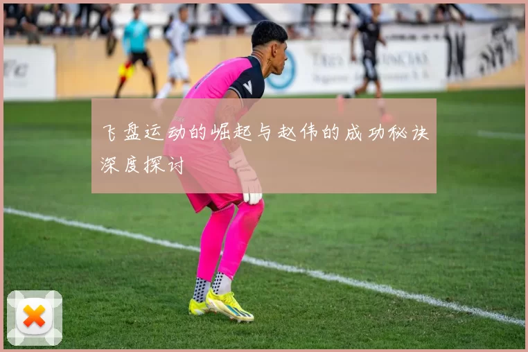 飞盘运动的崛起与赵伟的成功秘诀深度探讨