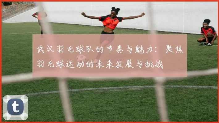 武汉羽毛球队的节奏与魅力：聚焦羽毛球运动的未来发展与挑战