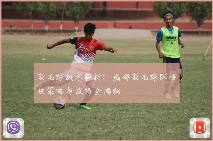 羽毛球战术解析：成都羽毛球队快攻策略与技巧全揭秘