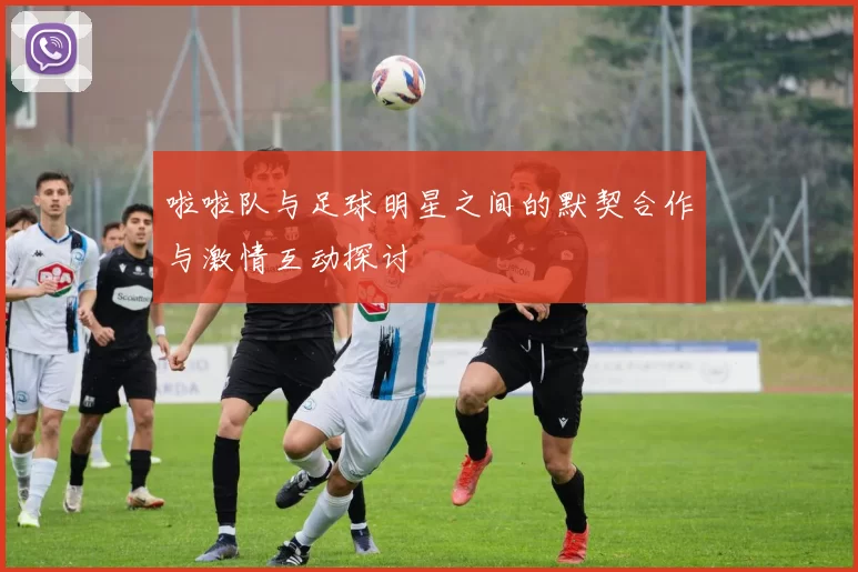 啦啦队与足球明星之间的默契合作与激情互动探讨