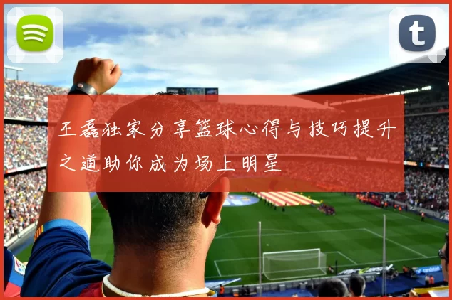 王磊独家分享篮球心得与技巧提升之道助你成为场上明星