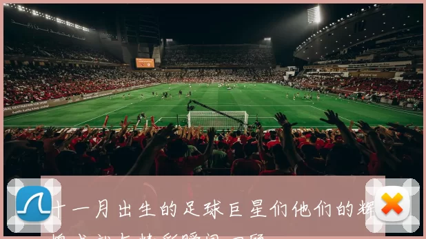十一月出生的足球巨星们他们的辉煌成就与精彩瞬间回顾