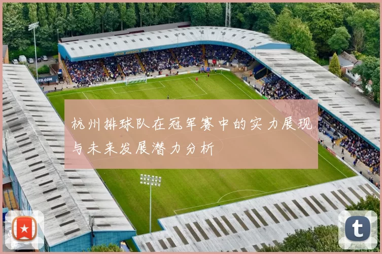 杭州排球队在冠军赛中的实力展现与未来发展潜力分析