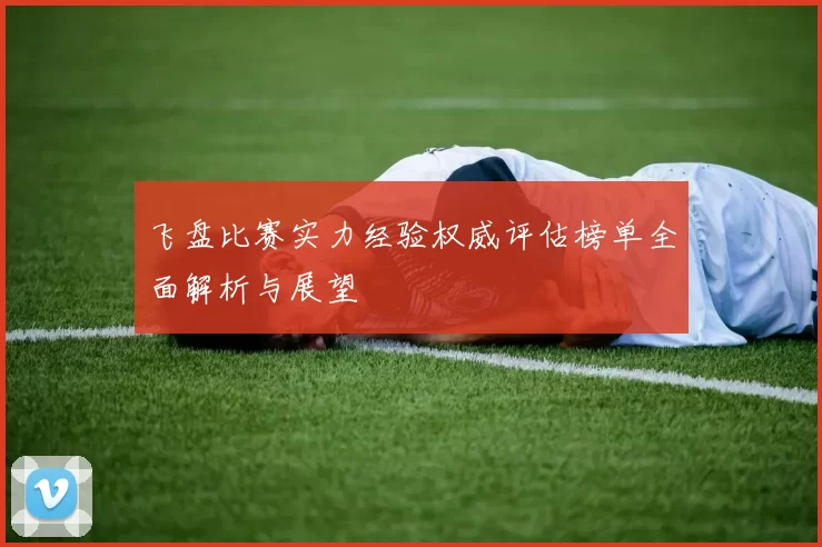 飞盘比赛实力经验权威评估榜单全面解析与展望