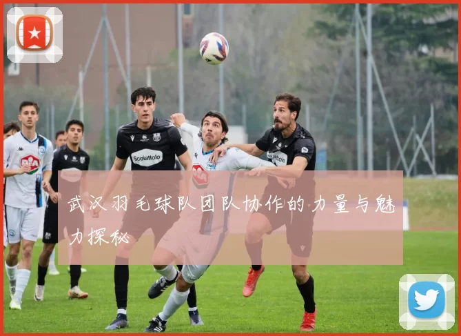 武汉羽毛球队团队协作的力量与魅力探秘