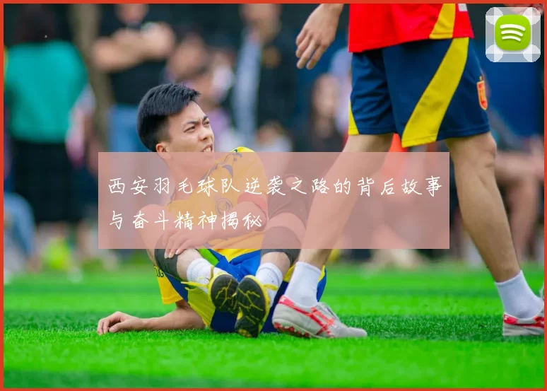 西安羽毛球队逆袭之路的背后故事与奋斗精神揭秘