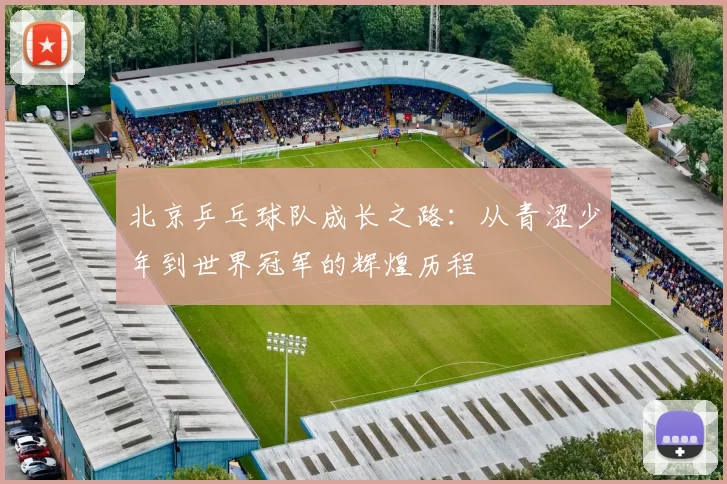 北京乒乓球队成长之路：从青涩少年到世界冠军的辉煌历程