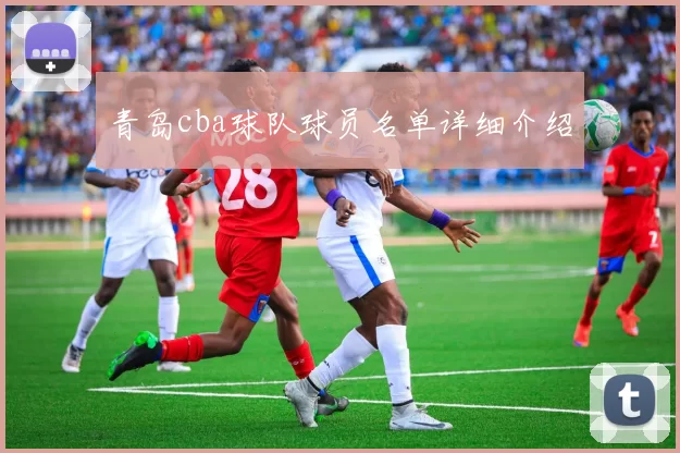 青岛cba球队球员名单详细介绍