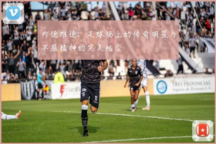 内德维德：足球场上的传奇明星与不屈精神的完美结合