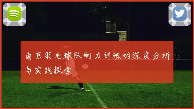 南京羽毛球队耐力训练的深度分析与实践探索