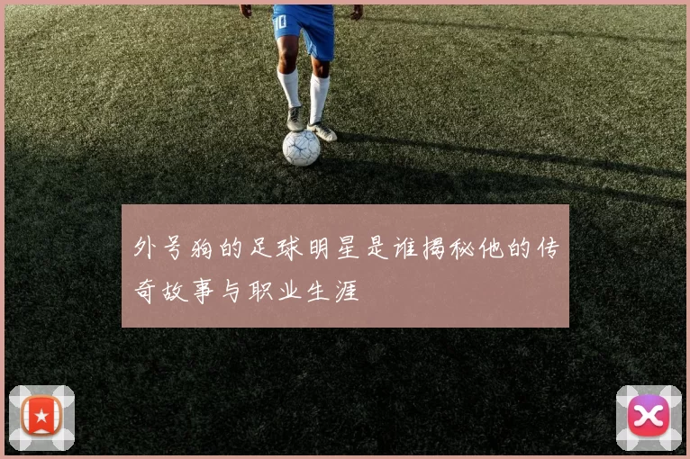 外号狗的足球明星是谁揭秘他的传奇故事与职业生涯