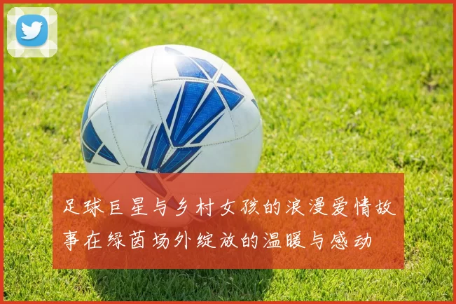 足球巨星与乡村女孩的浪漫爱情故事在绿茵场外绽放的温暖与感动