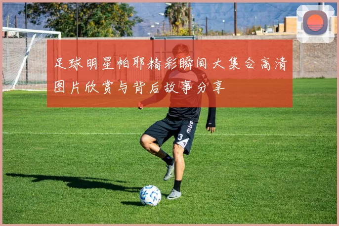 足球明星帕耶精彩瞬间大集合高清图片欣赏与背后故事分享
