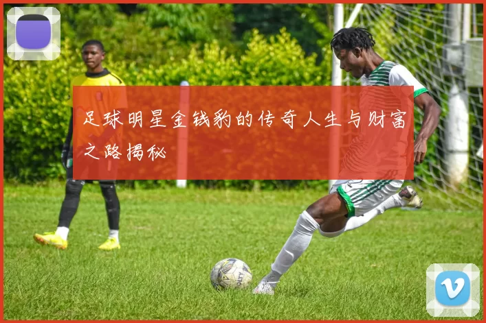 足球明星金钱豹的传奇人生与财富之路揭秘