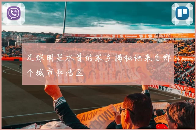 足球明星水哥的家乡揭秘他来自哪个城市和地区