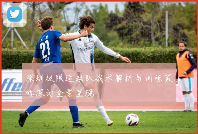 深圳极限运动队战术解析与训练策略探讨全景呈现