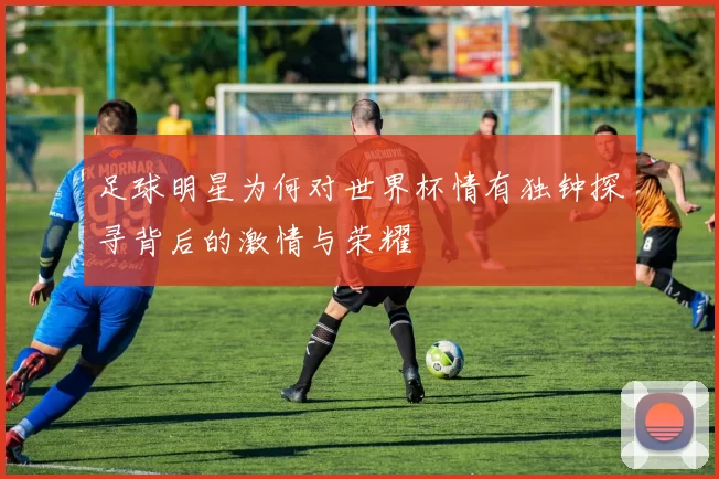 足球明星为何对世界杯情有独钟探寻背后的激情与荣耀