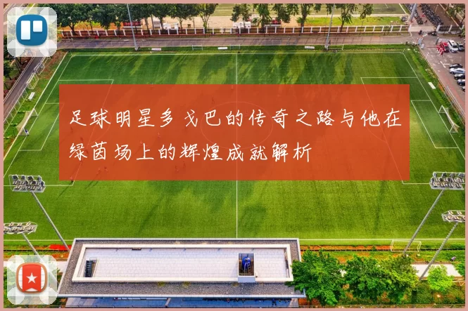 足球明星多戈巴的传奇之路与他在绿茵场上的辉煌成就解析