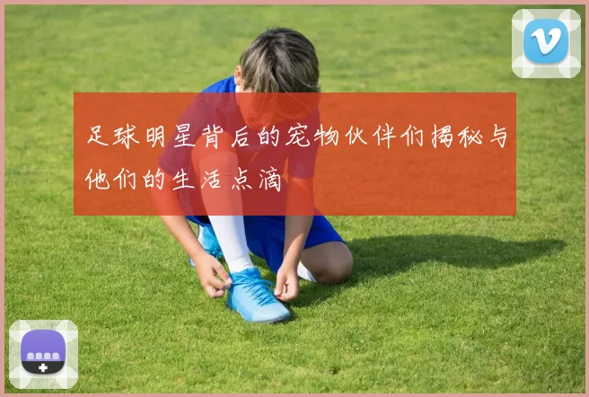 足球明星背后的宠物伙伴们揭秘与他们的生活点滴
