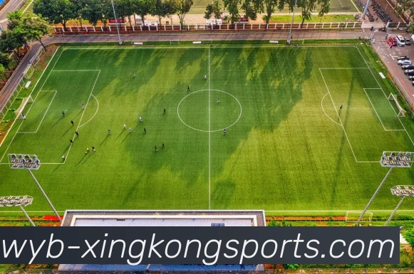 多媒体互动体验